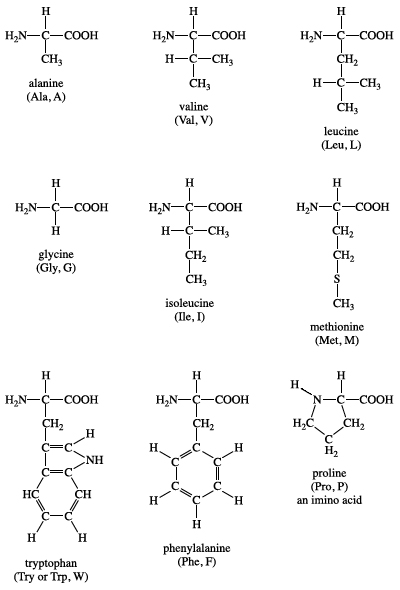 Structure of non-polar amino acids
