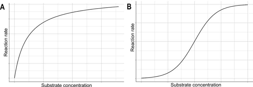 The relationship between substrate concentration and the rate of enzyme-catalyzed reaction