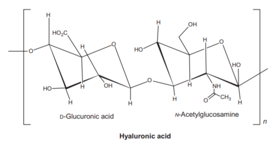 The repeating units of Hyaluronic acid