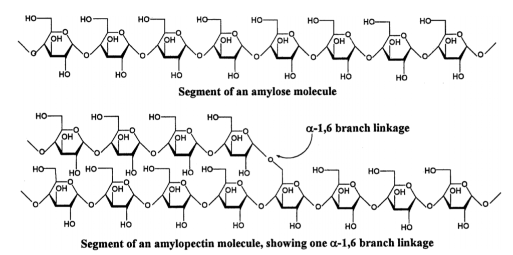 The structure of a section of amylose and amylopectin
