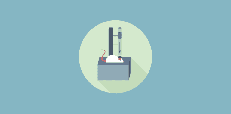 Weight Drop Injury Model