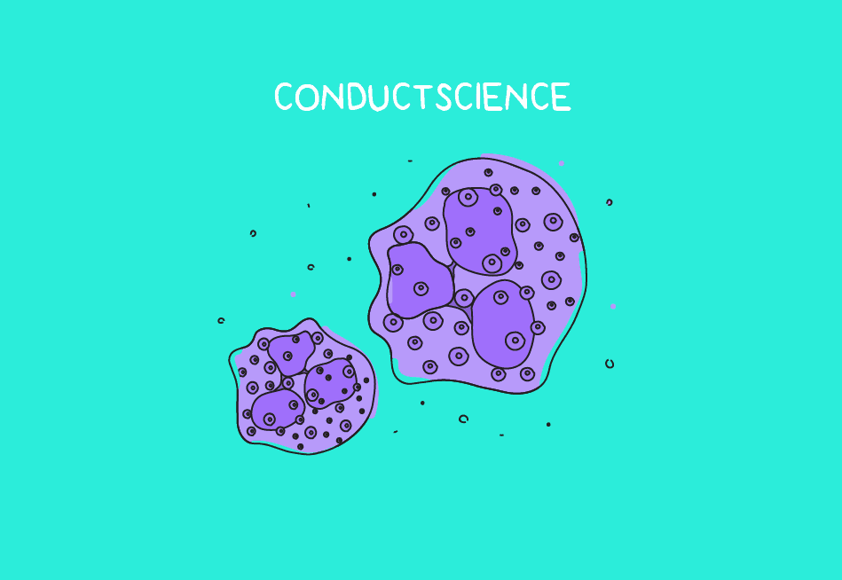 The Cytogenetics of Fungi – Conduct Science