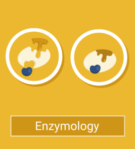 Enzymology