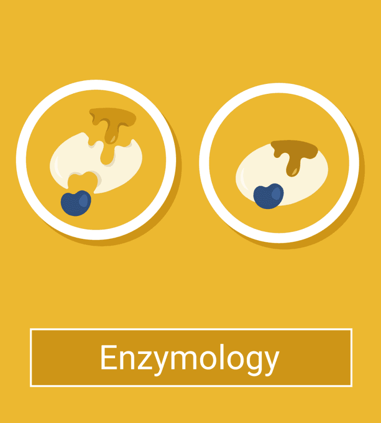 Enzymology