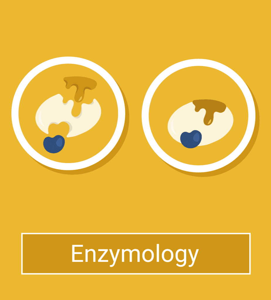 Factors That Affects Enzyme Activity Conduct Science