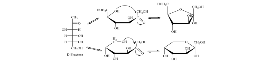 Mutarotation equilibrium regarding D-(+)-glucose.