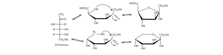 Mutarotation of fructose