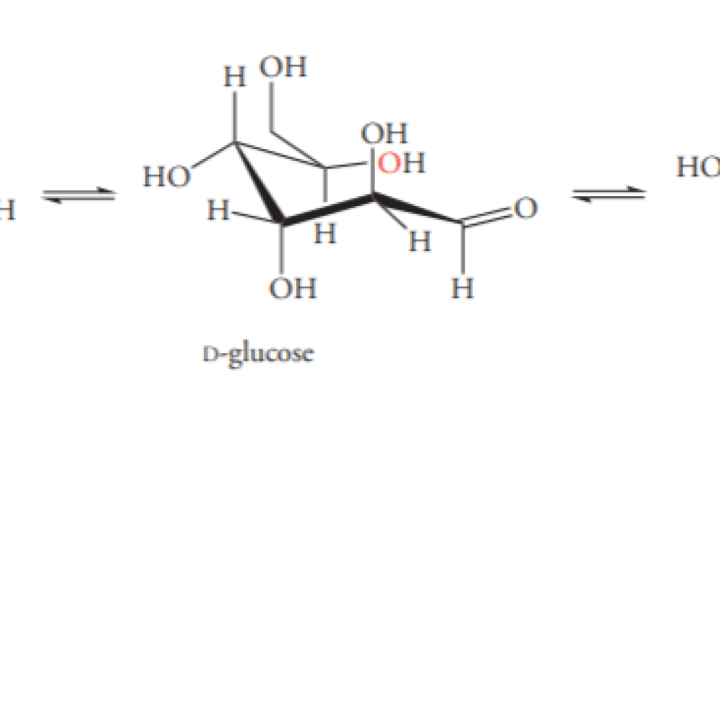 mutarotation of glucose