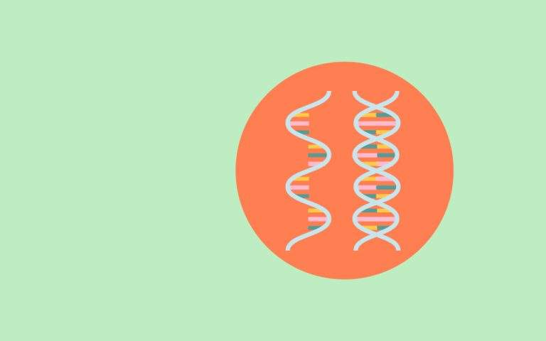 Nucleic Acid Quantification Protocols