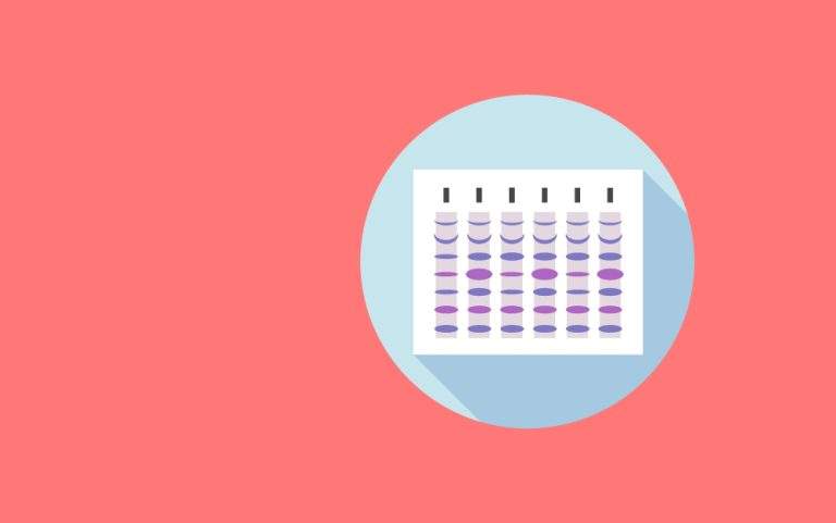 SDS-Polyacrylamide Gel Electrophoresis at Neutral pH (NuPAGE)