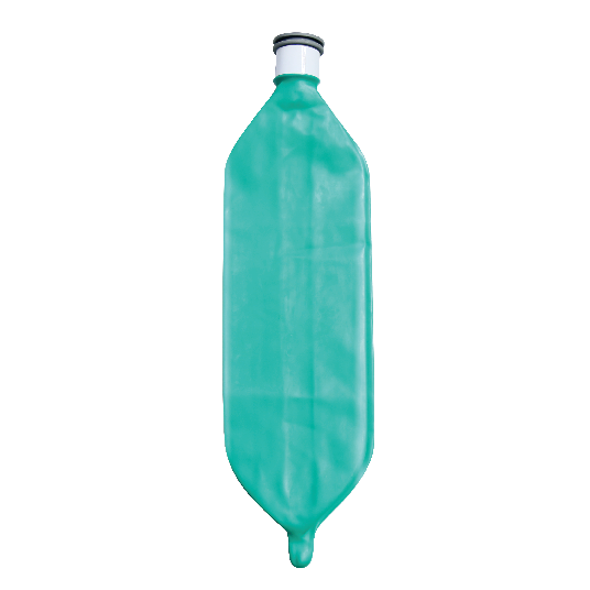 Bag-in-Bottle system