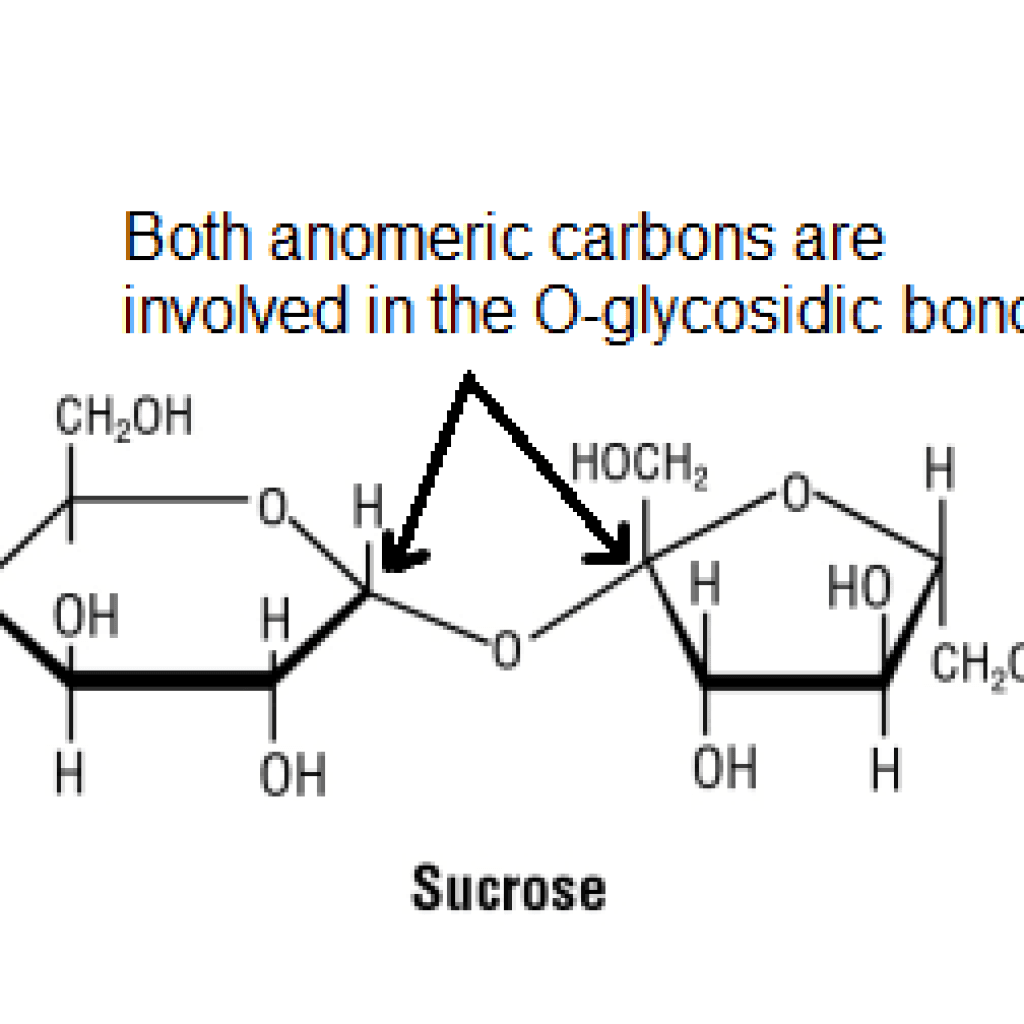 Structural diagram of sucrose