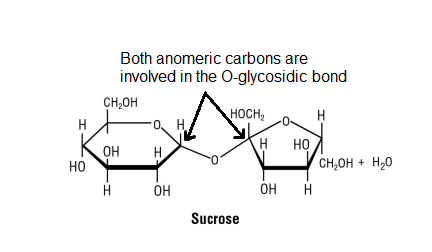 Structural diagram of sucrose