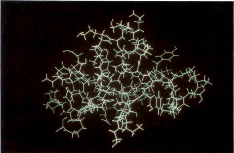 structure of a globular protein