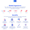 XL Animal Behavioral Analysis System - Image 12