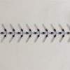 Drosophila Y Maze