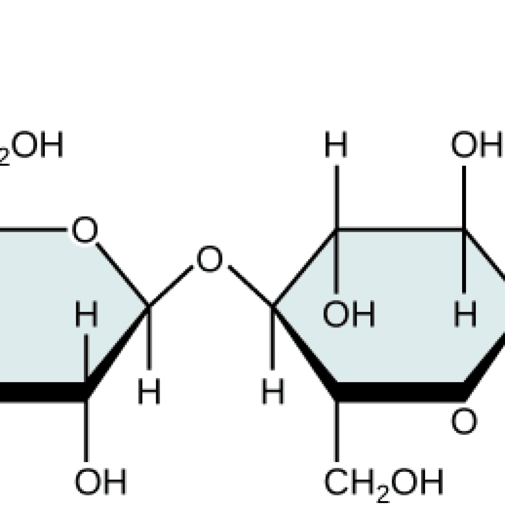 Structural representation of cellulose