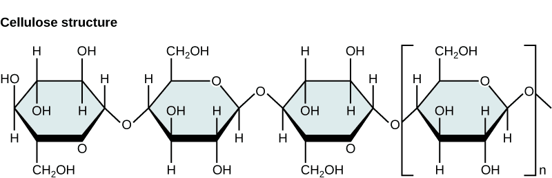 Structural representation of cellulose