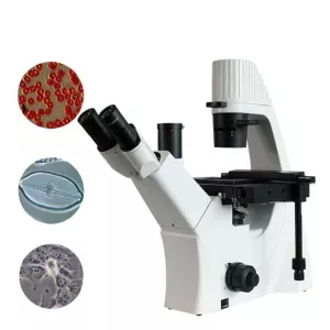 Trinocular Inverted Microscope with Phase Contrast
