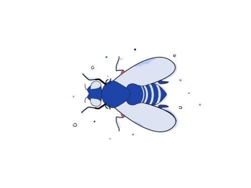 Drosophila Food