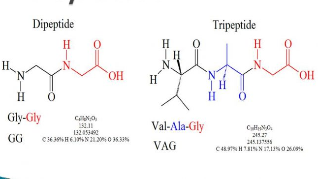 structure of dipeptide