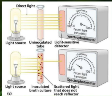 An illustration of turbidity measurement using a spectrophotometer