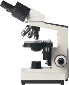 compound microscope