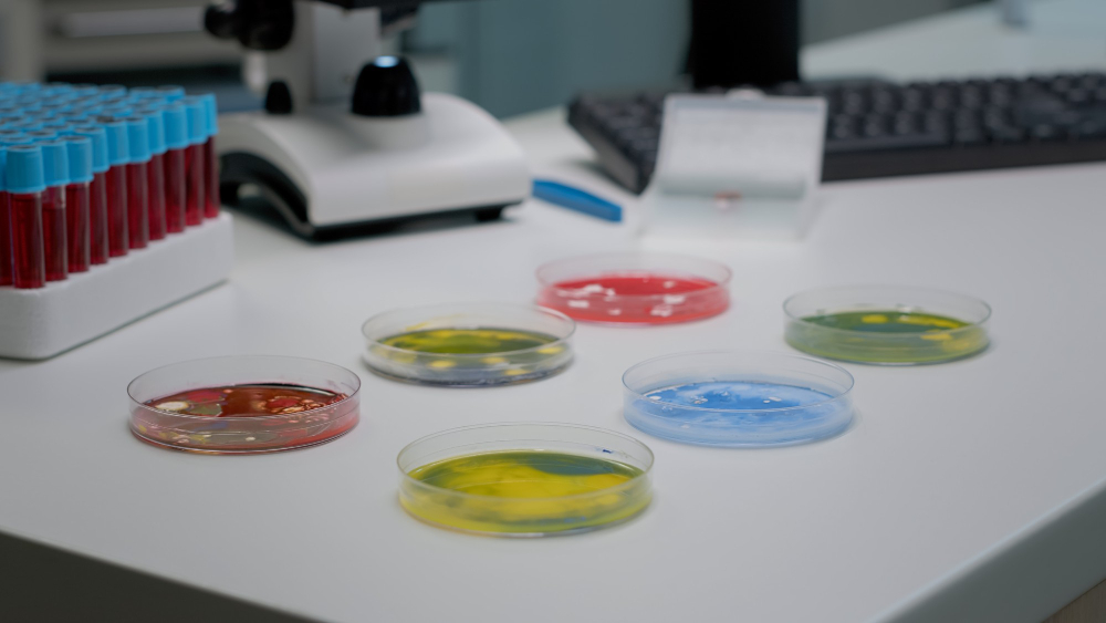Agar plates on a lab's workbench