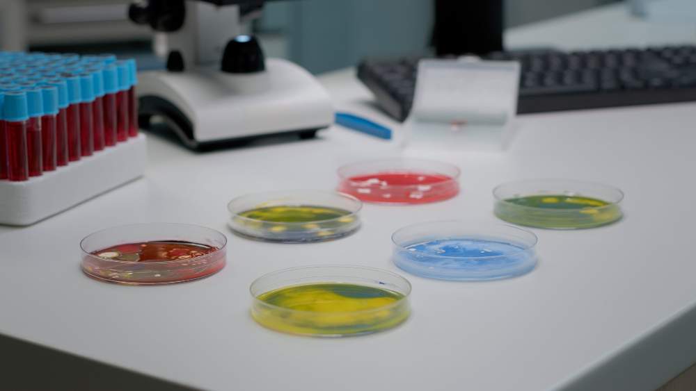 Agar plates on a lab's workbench