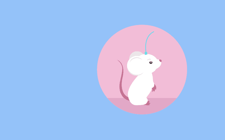 Optogenetics on a mouse