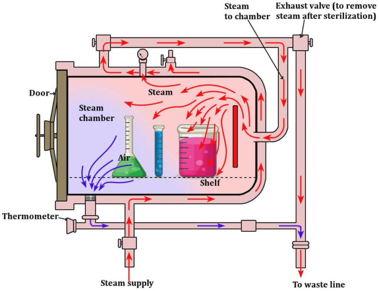 Illustrative diagram of the working mechanism of the autoclave