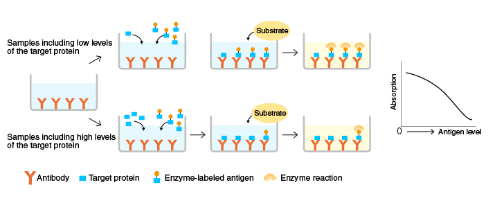 An illustration of the process of competitive ELISA