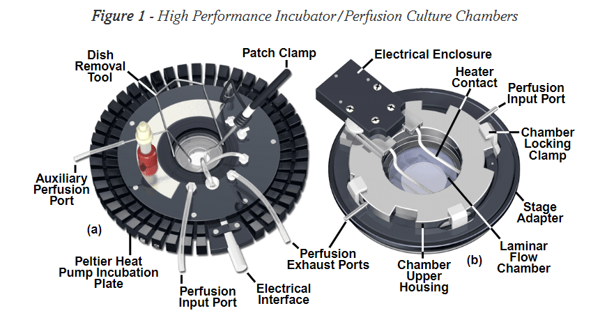 Perfusion Imaging Chamber