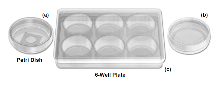 Different types of Petri-dish imaging chamber