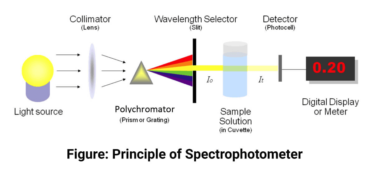 Colorimeter vs spectrophotometer Which Is a Better Buy?