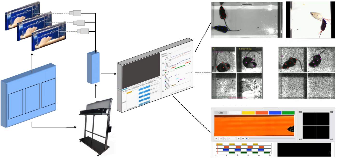 Automated Gait Analysis Conduct Science Automated Gait Analysis Conduct Science