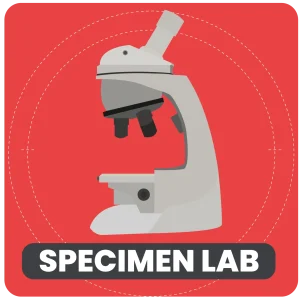 Specimen Lab