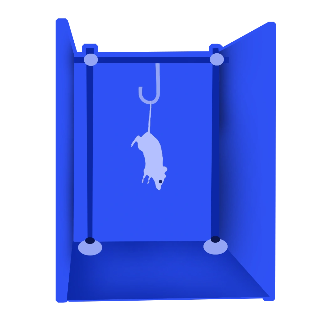 Tail Suspension Test icon showing a suspended mouse, used in behavioral neuroscience to measure depression-like behavior in rodents.