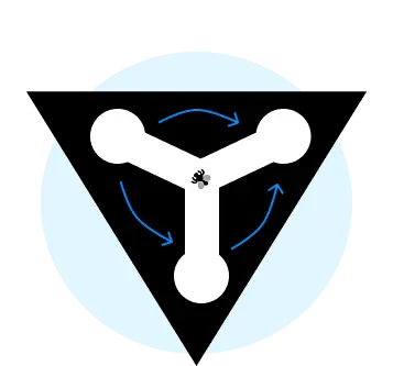Drosophila Maze Array icon with circular arrows around the fly representing repeated directional preference (handedness).