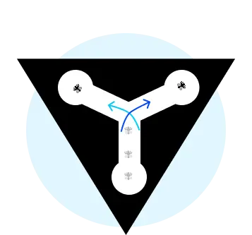 Y-maze from the Drosophila Maze Array with arrows showing left and right turn directions made by a fly.