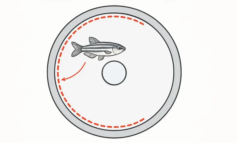Illustration of zebrafish exhibiting thigmotaxis in a Visual Water Maze with wall-hugging path highlighted.