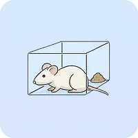 Rodents