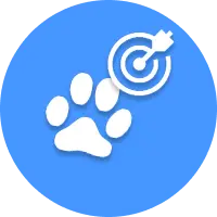 Rodent balance beam test assessing paw placement accuracy