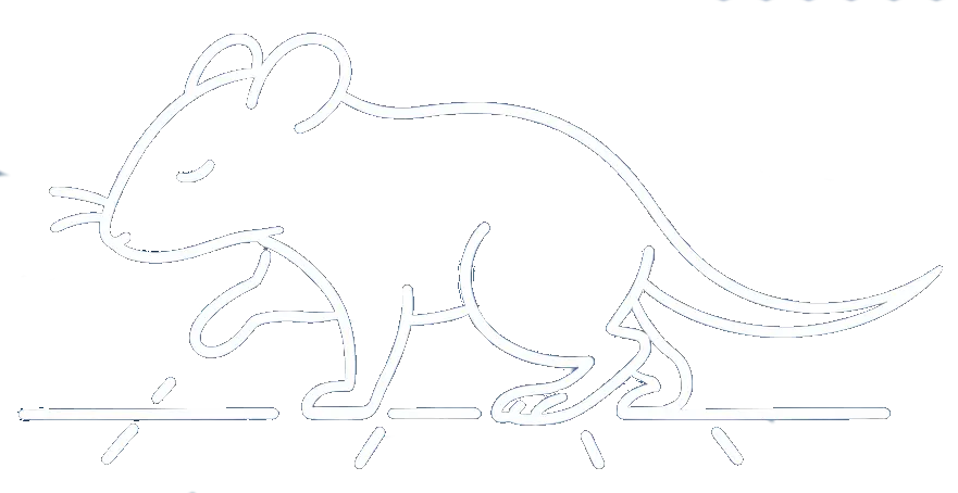 balance beam test rodents