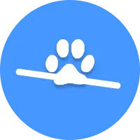 Rodent balance beam test quantifying forelimb and hindlimb slips