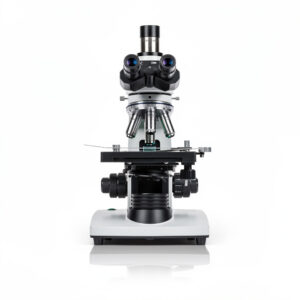 Microscopy
