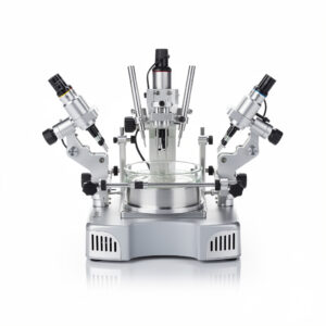 Slice Electrophysiology