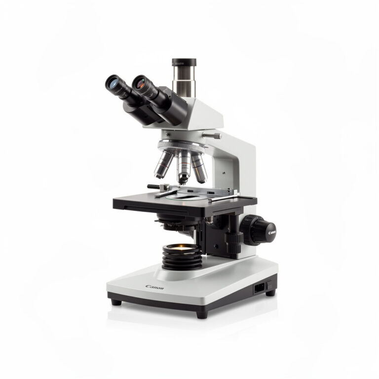 Stereo Microscope