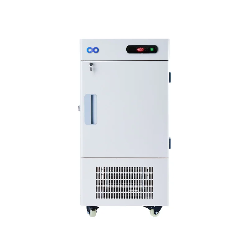 -40°C Freezer - Cold Storage