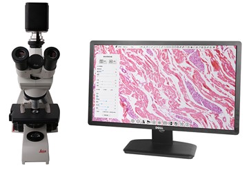 Serie 4K 8MP C-mount HDMI+USB Digital Microscope Camera with Video & Measurement Functions